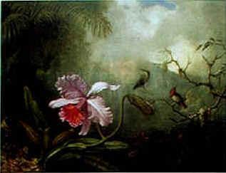 Martin Johnson Heade Cattleya Orchid Three Brazilian Hummingbirds oil painting image